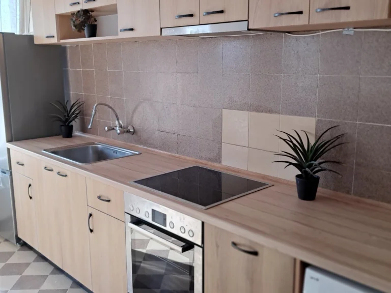 House for rent Plovdiv oblast S.radinovo