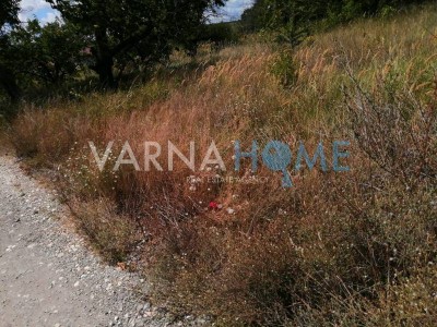 Land for sale Varna oblast S.zvezditsa