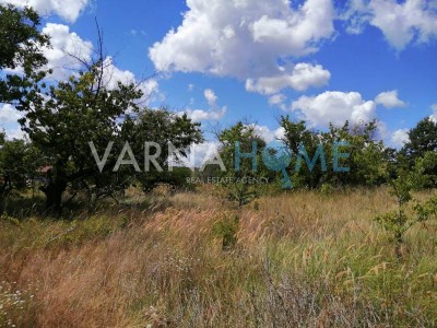 Land for sale Varna oblast S.zvezditsa