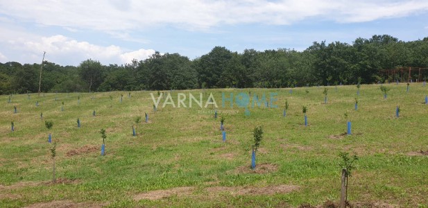 Land for sale Varna oblast S.benkovski