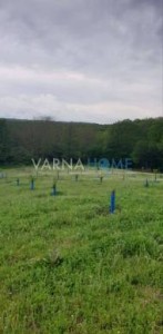 Land for sale Varna oblast S.benkovski - Photo 2