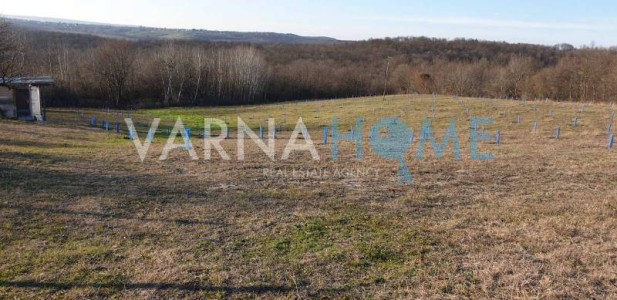 Land for sale Varna oblast S.benkovski - Photo 3