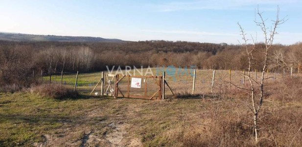 Land for sale Varna oblast S.benkovski - Photo 4