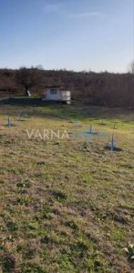 Land for sale Varna oblast S.benkovski - Photo 5