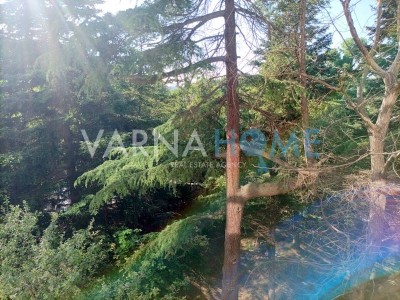 Четиристаен апартамент за продажба Варна област к.к. Св.Константин и Елена - Photo 11