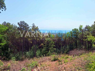 Къща за продажба Варна област м-т Добрева Чешма - Photo 13