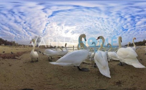 Магазин за продажба Варна Морска Градина - Photo 12