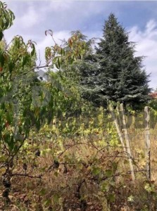 Сграда за продажба Варна област м-т Манастирски Рид - Photo 6