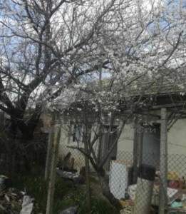 Bina satılık Varna oblast S.osenovo - Photo 9