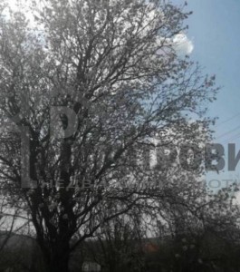 Сграда за продажба Варна област с.Осеново