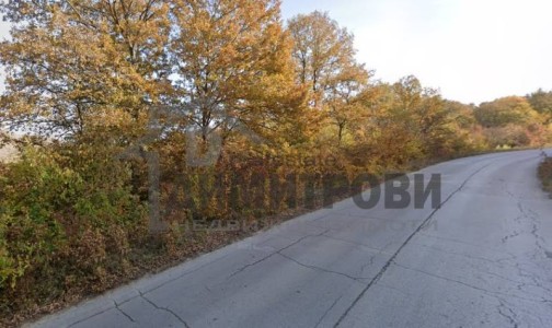 Земя за продажба Варна област с.Долище