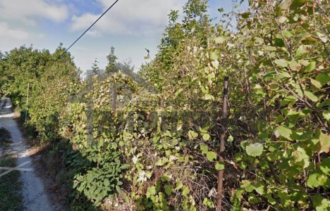 Land for sale Varna oblast K.k. Zlatni Pyasatsi - Photo 2